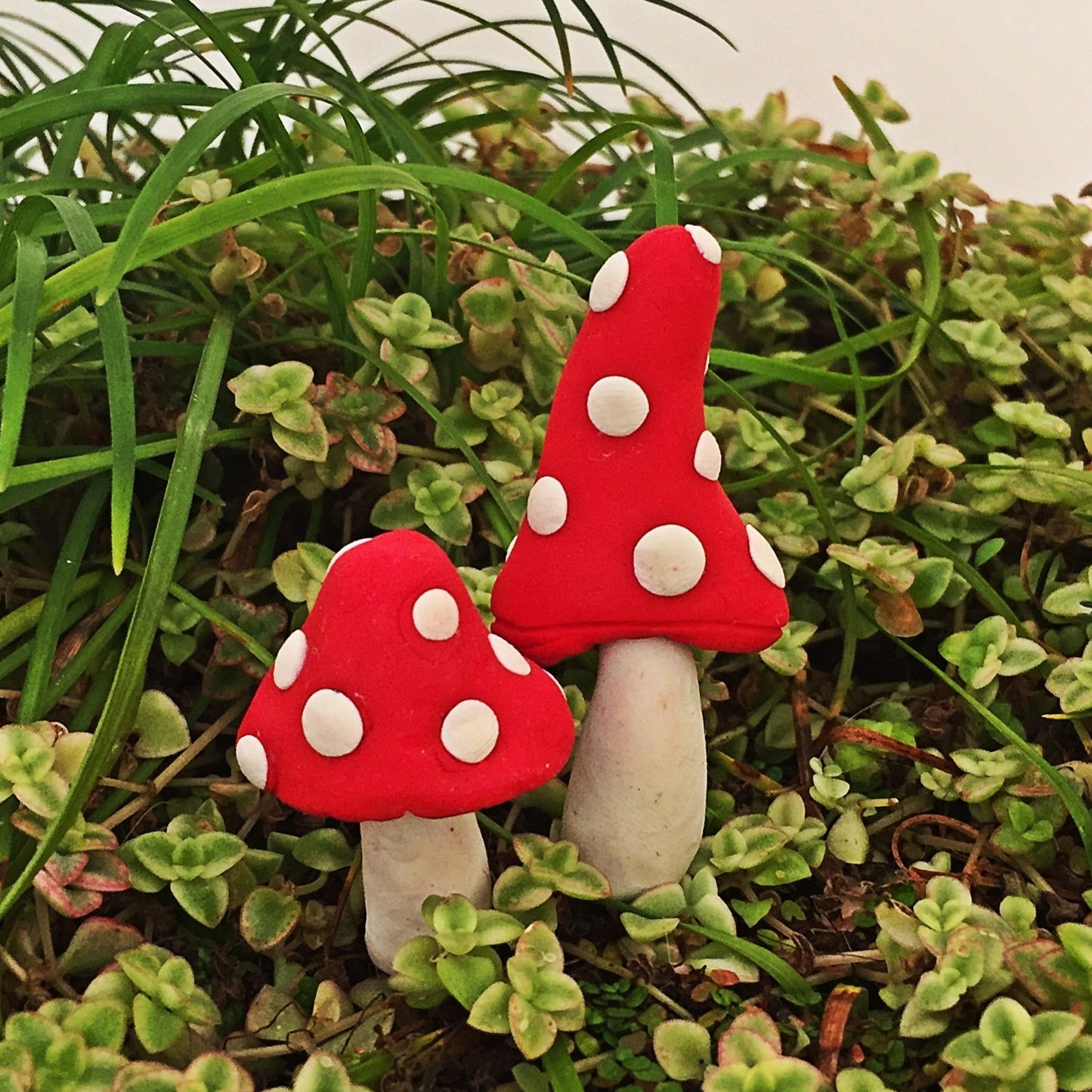 Fairy Garden Red and White whimsical Mushrooms