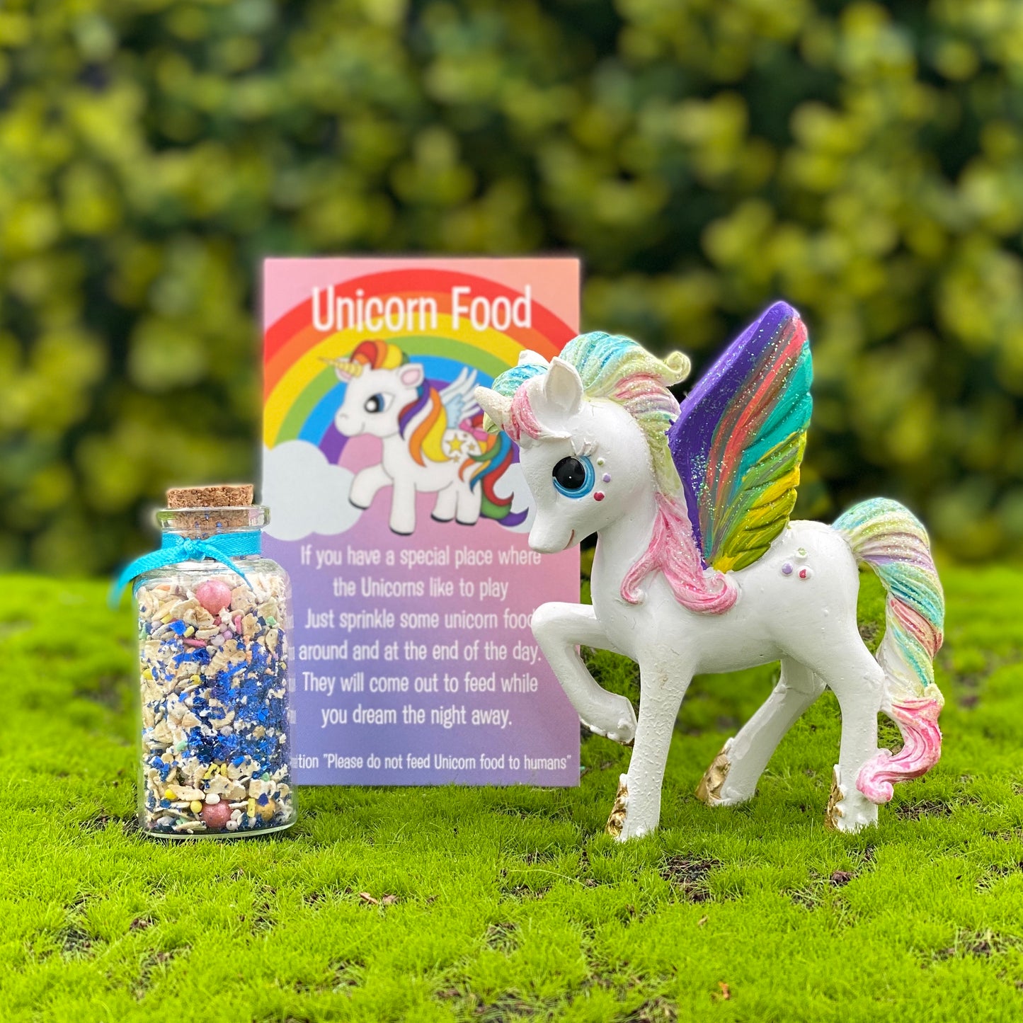 Fairy Garden Rainbow Unicorn Set