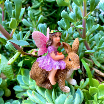 Fairy Imogen On A Bunny