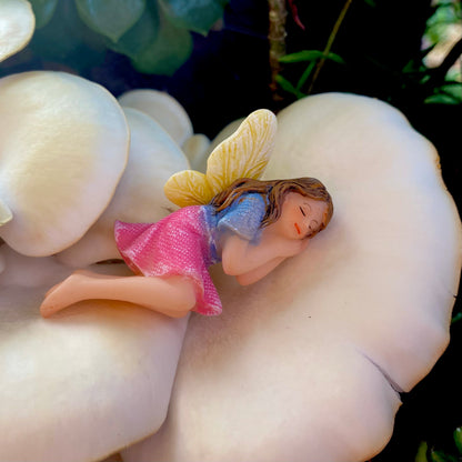 Aurora The Sleeping Fairy