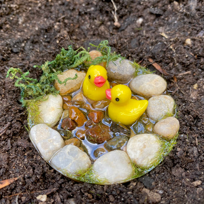 Miniature Ducks In A Pond