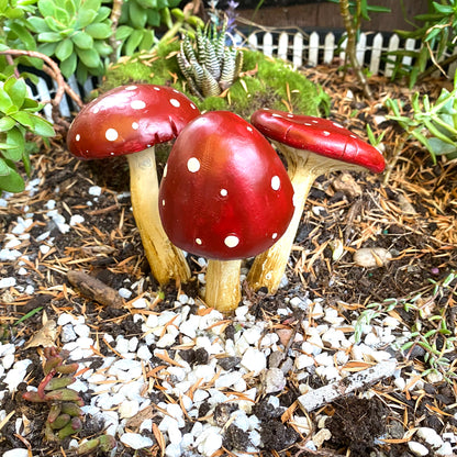 Large Red And Brown Mushrooms