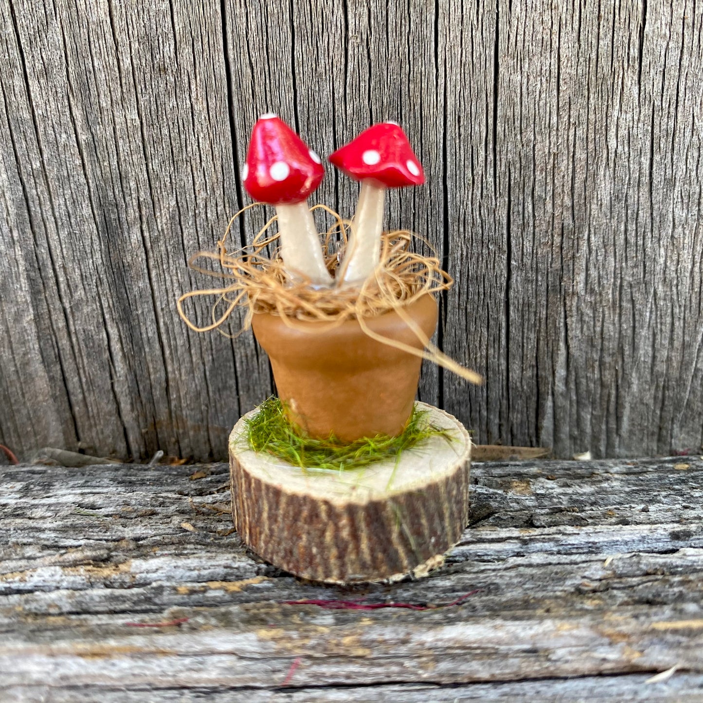 Fairy Garden Miniature Pot And Mushrooms