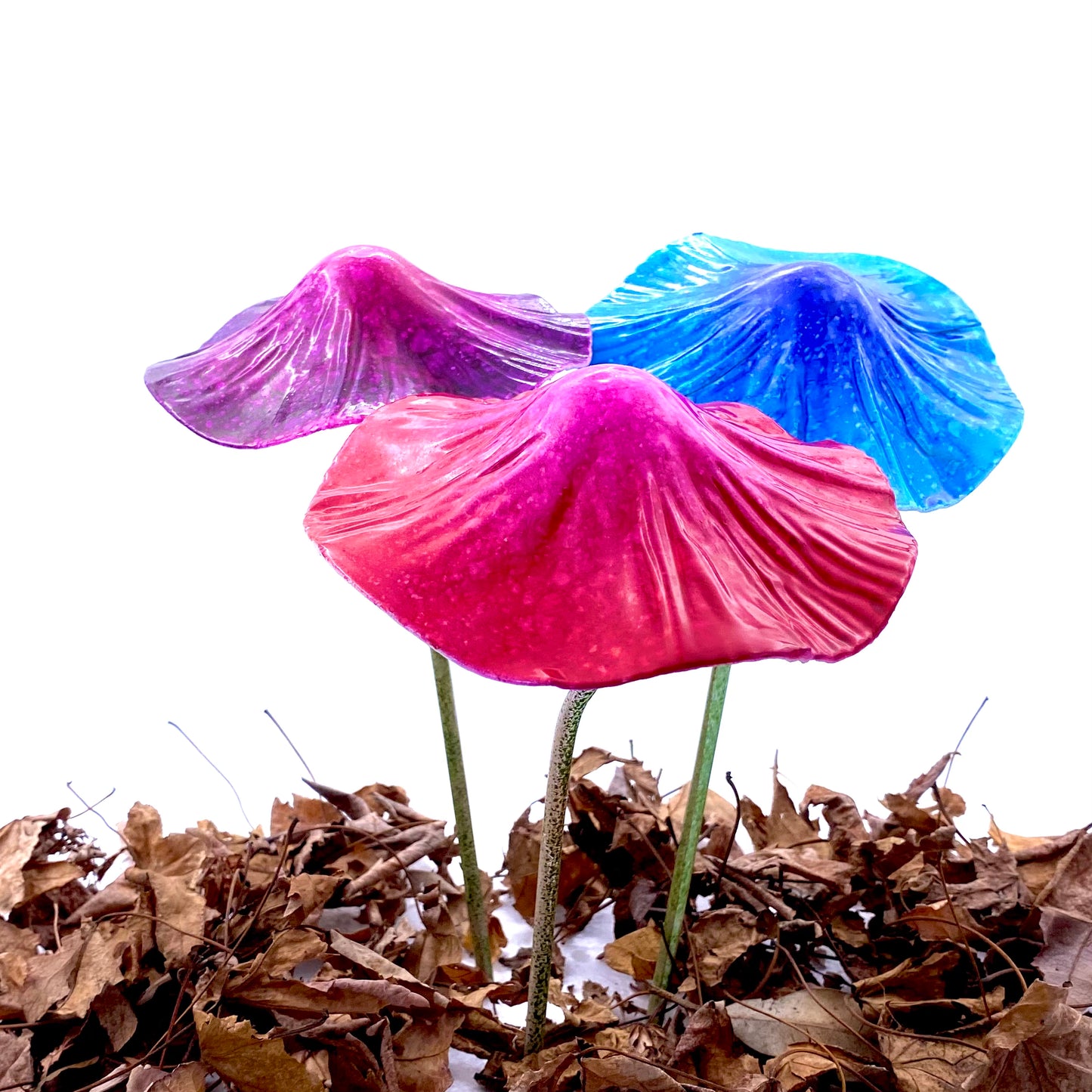 Umbrella Mushroom Fairy Pack(Large)