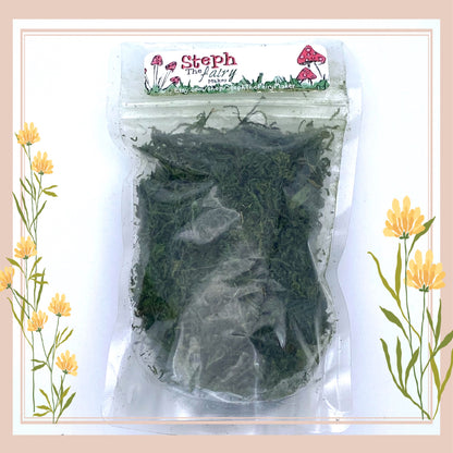 Fairy Gardens Natural Freeze Dried Loose Moss
