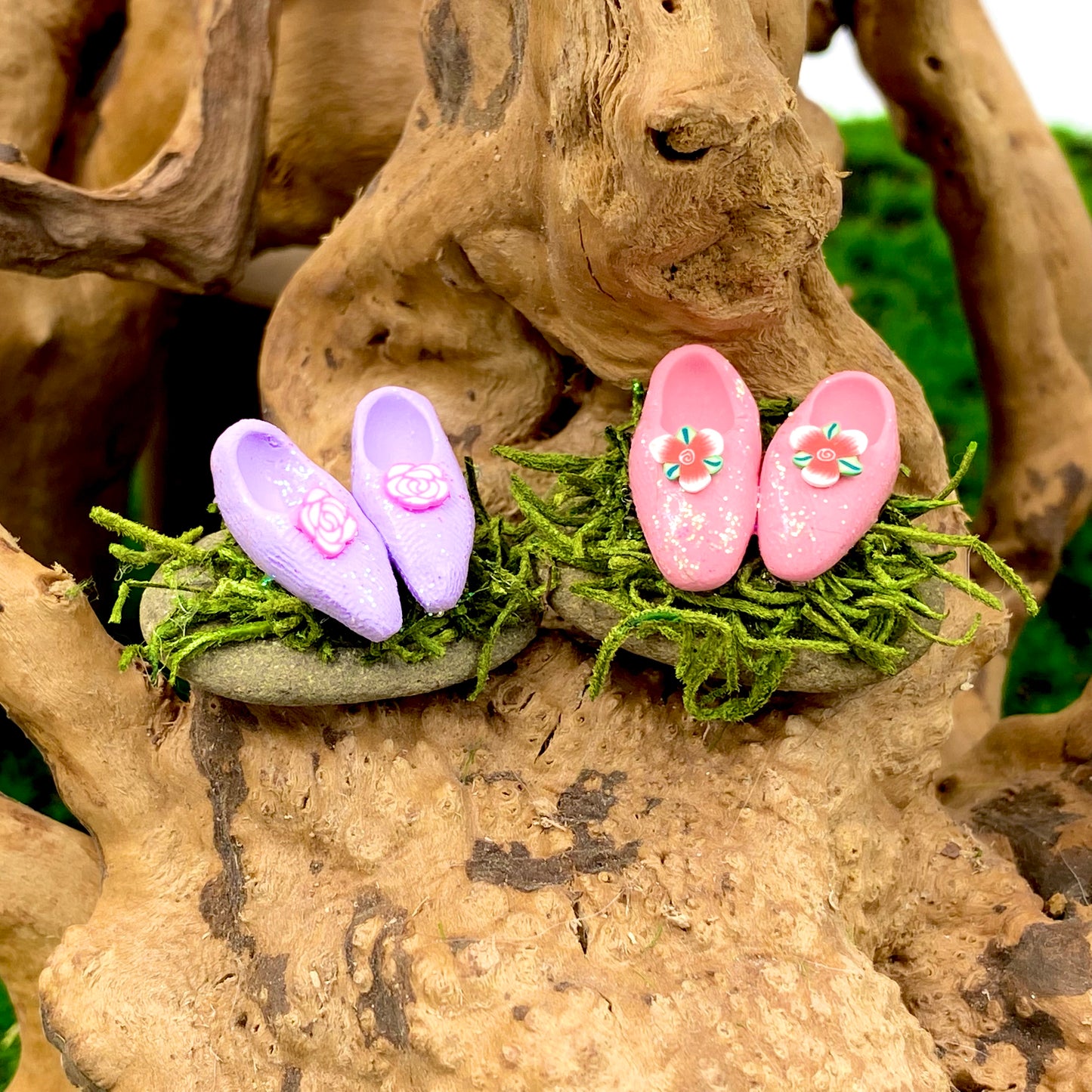 Magical Fairy Shoes