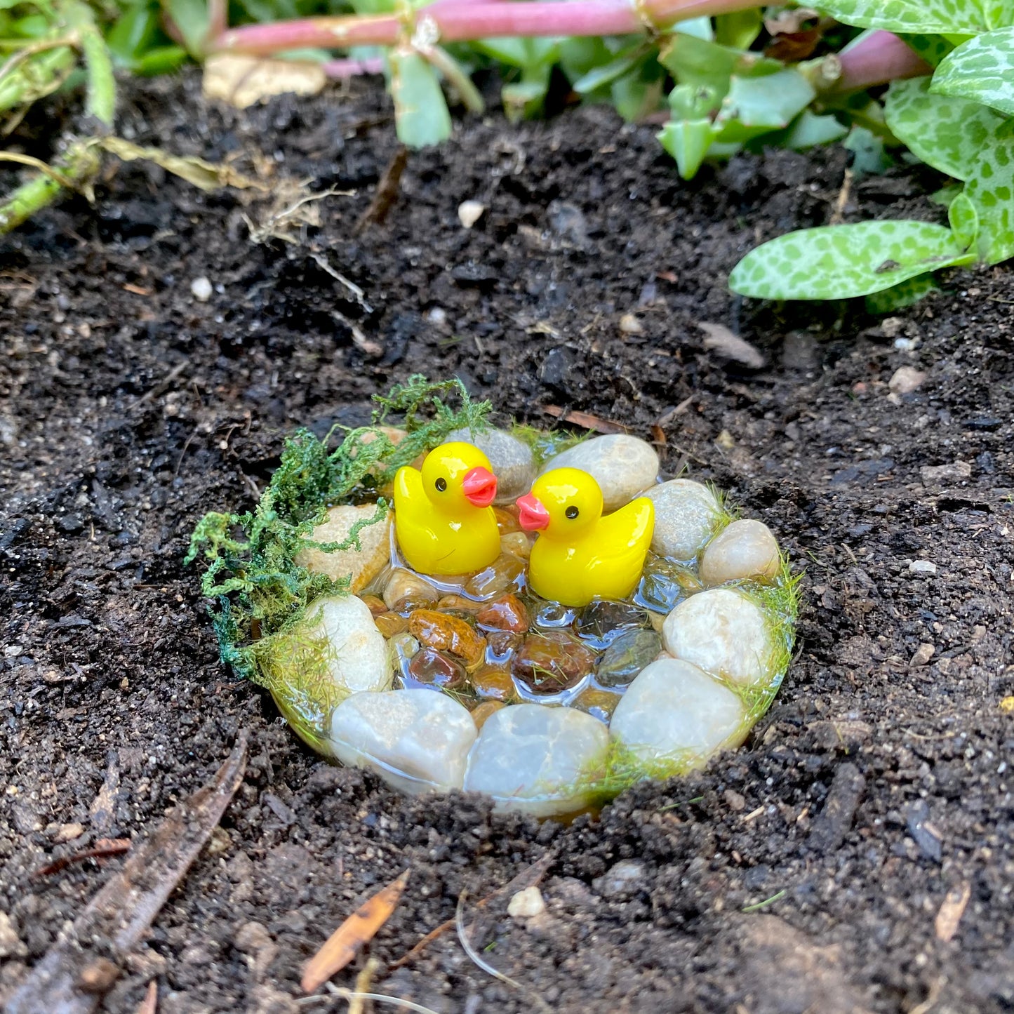 Miniature Ducks In A Pond