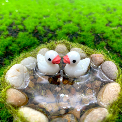 Miniature Ducks In A Pond