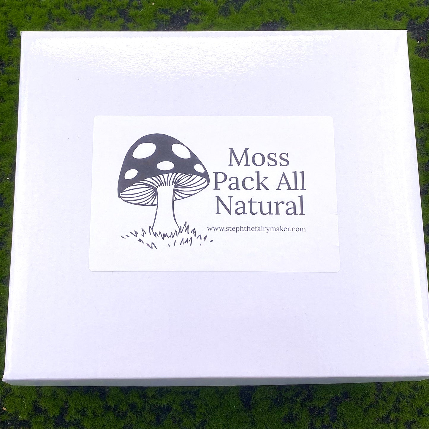 Moss Pack All Natural (Fairy Garden Product)