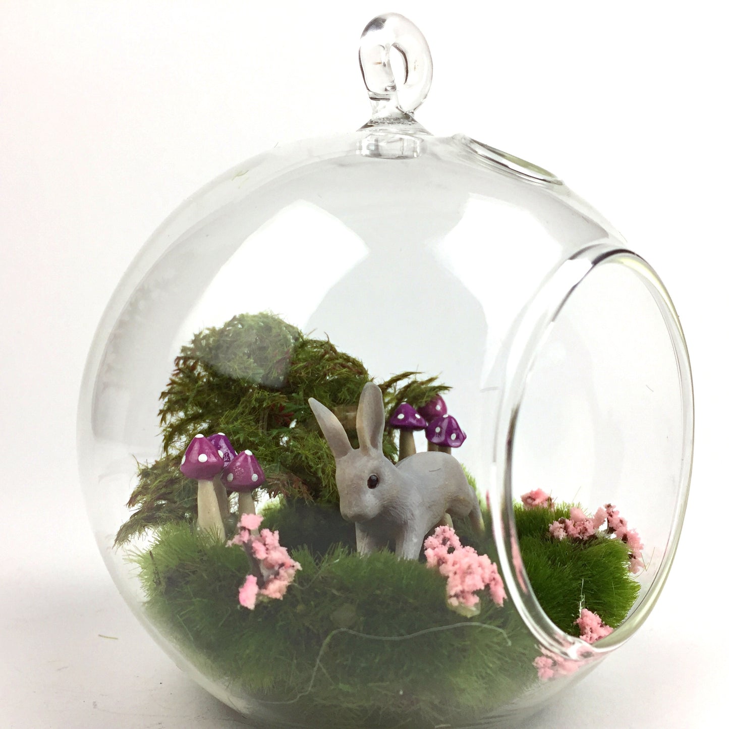 Fairy Garden Running Bunny Terrarium