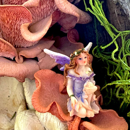 Enchanted Miniature Fairies