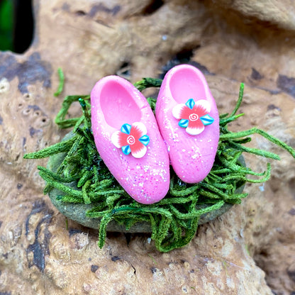 Magical Fairy Shoes