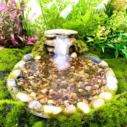 Pond With A Waterfall