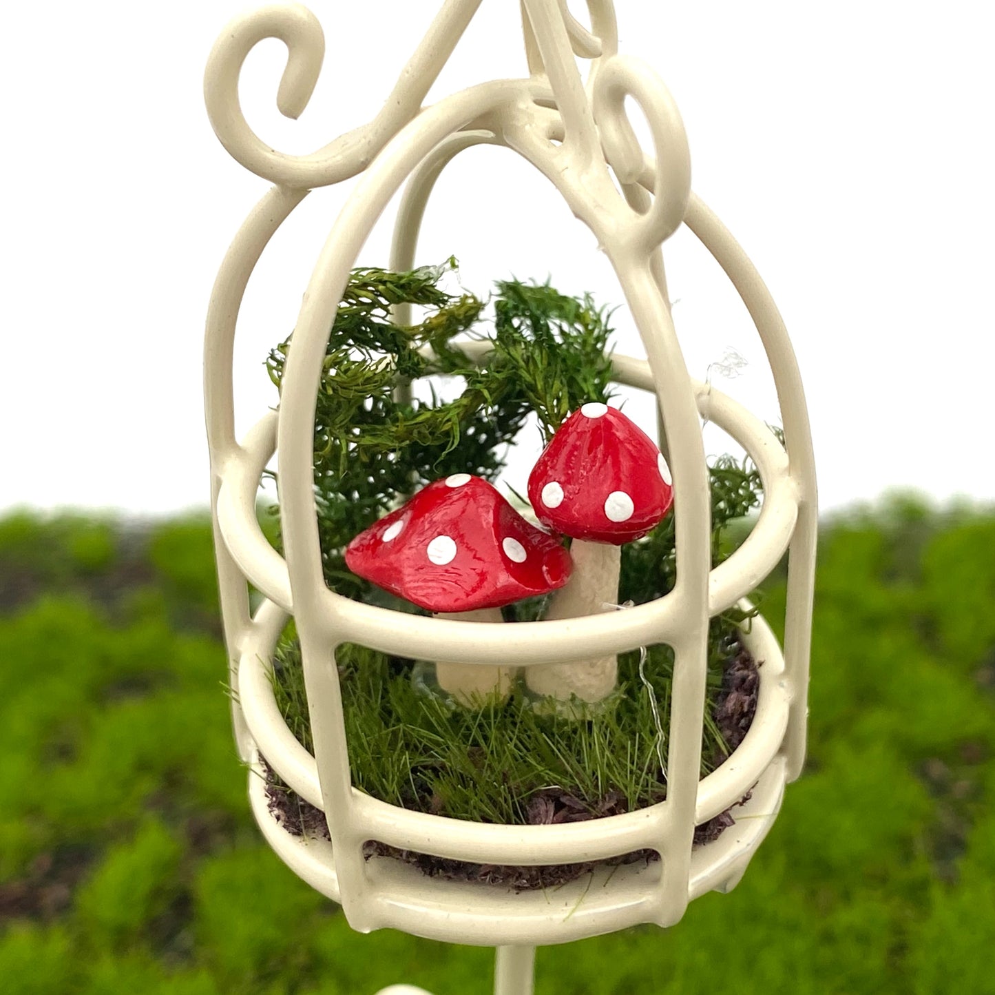 Fairy Garden Mini Bird Cage Terrarium